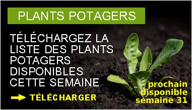Plants potagers : t&eacute;l&eacute;chargez la liste des plants potagers disponibles cette semaine