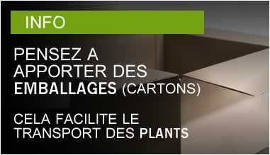 Pensez à apporter des emballages (cartons), cela facilite le transport des plants