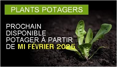Prochain disponible potager &agrave; partir de mi f&eacute;vrier 2025