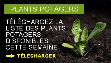 Plants potagers : t&eacute;l&eacute;chargez la liste des plants potagers disponibles cette semaine