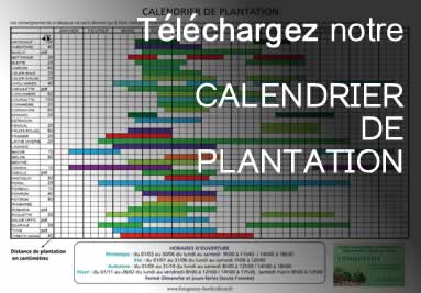 Téléchargez notre calendrier de plantation